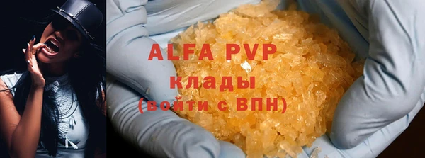 стаф Белоозёрский