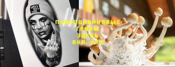 Альфа ПВП Белокуриха