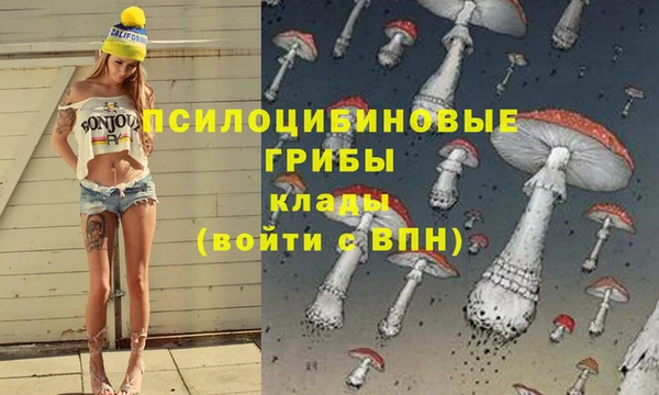 прущие крисы Беломорск